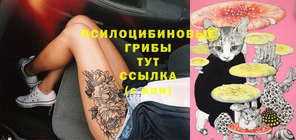 эйфоретик Осинники