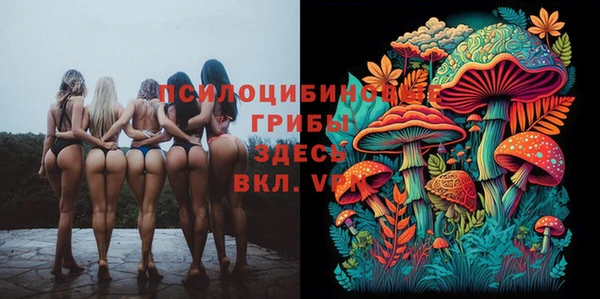 эйфоретик Россошь