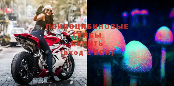 эйфоретик Осинники