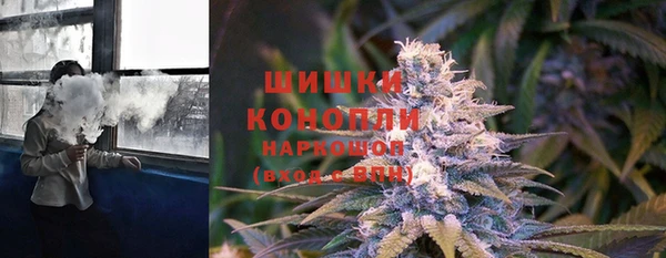 эйфоретик Осинники