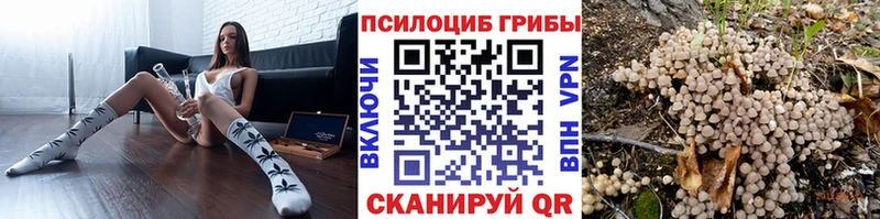 хочу   Салаир  ОМГ ОМГ ТОР  Псилоцибиновые грибы MAGIC MUSHROOMS 